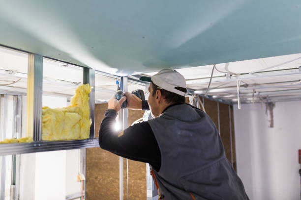 Best Crawl Space Insulation  in Johnsburg, IL