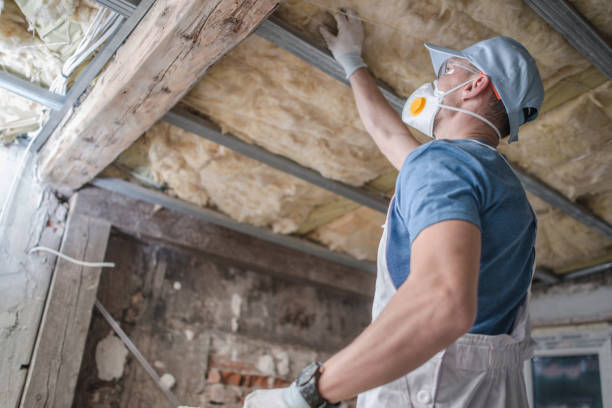 Best Cellulose Insulation  in Johnsburg, IL