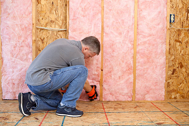 Best Local Insulation Services  in Johnsburg, IL