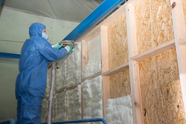 Best Insulation Inspection Services  in Johnsburg, IL